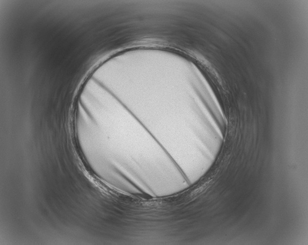 X0000082701421200702161738