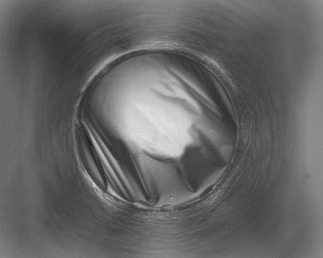 X0000082701422200702161738