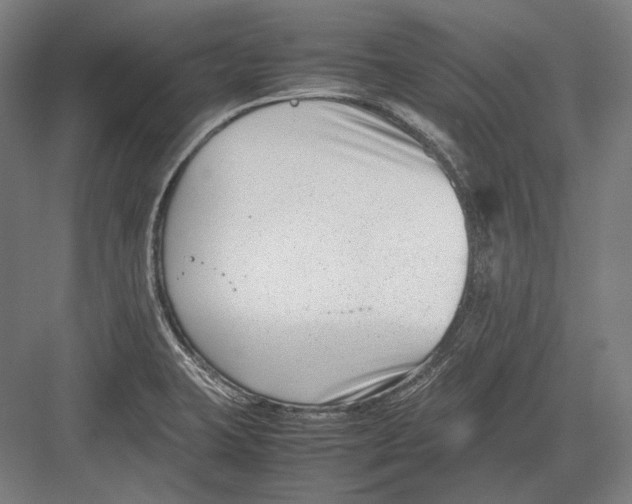 X0000082701423200702161738