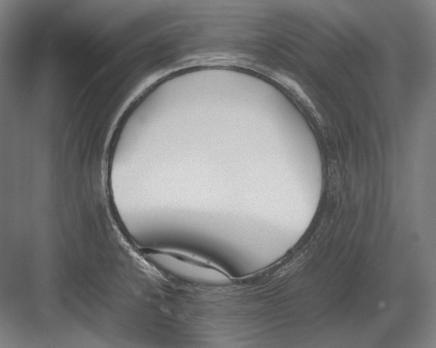 X0000082701424200702161738