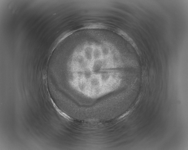 X0000082701425200702161738