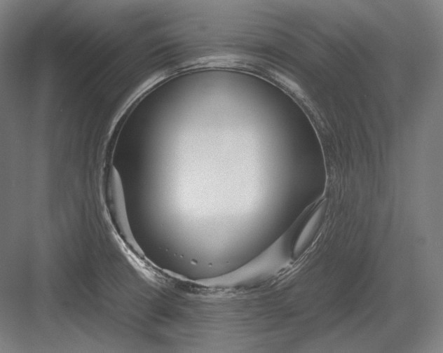 X0000082701426200702161738