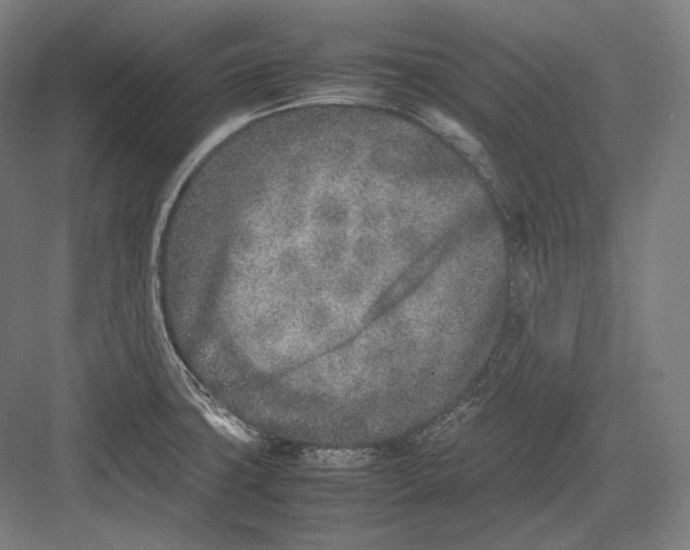 X0000082701427200702161738