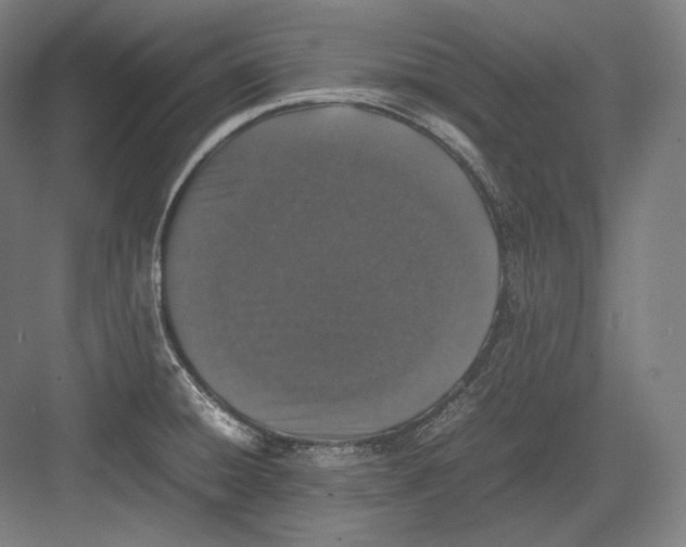 X0000082701428200702161738