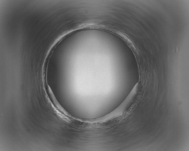 X0000082701430200702161738