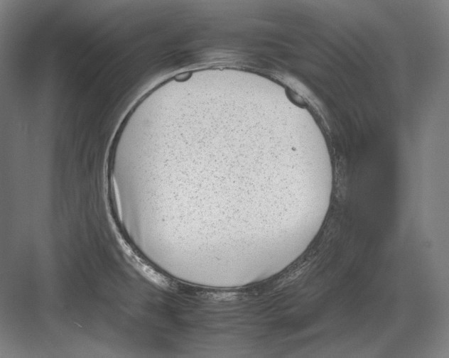 X0000082701431200702161738