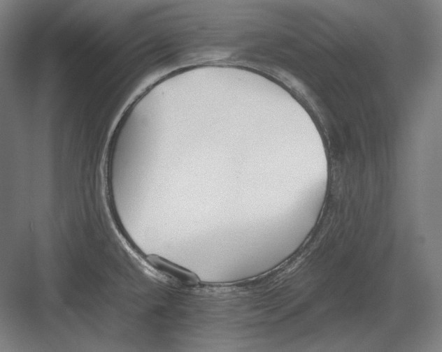 X0000082701432200702161738