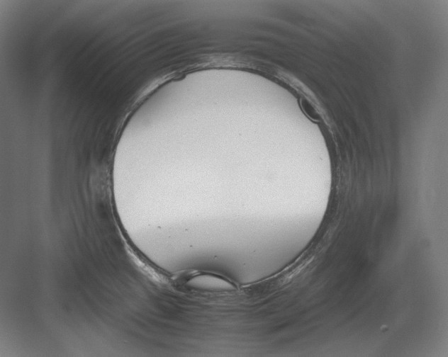 X0000082701433200702161738