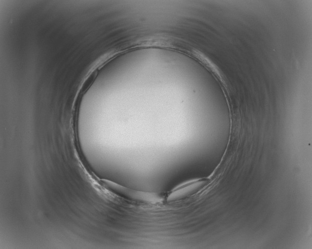 X0000082701434200702161738