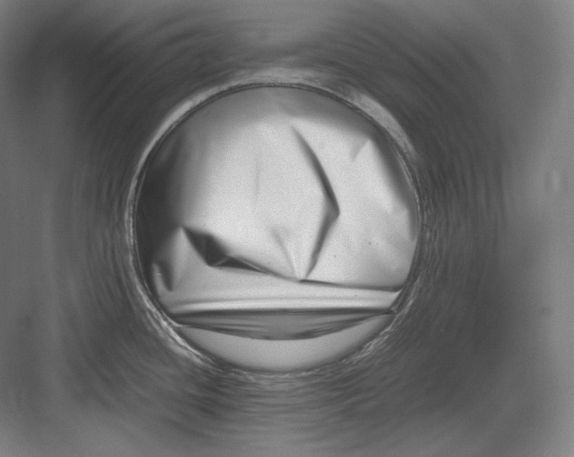 X0000082701436200702161738