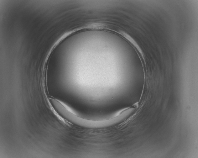 X0000082701437200702161738