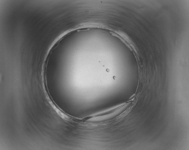 X0000082701438200702161738