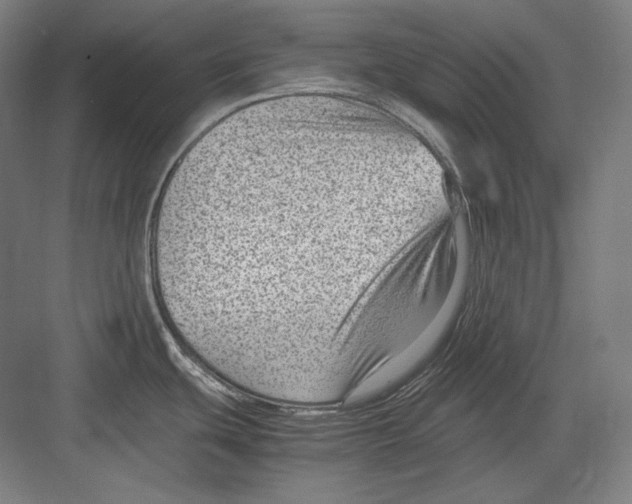 X0000082701439200702161738