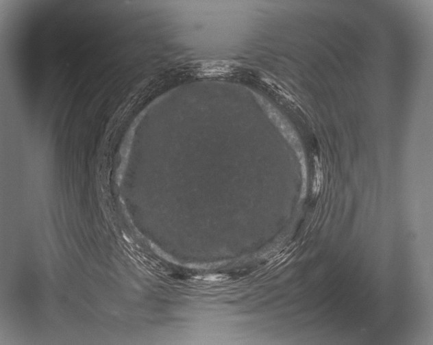 X0000082701441200702161738