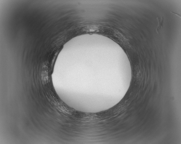 X0000082701442200702161738