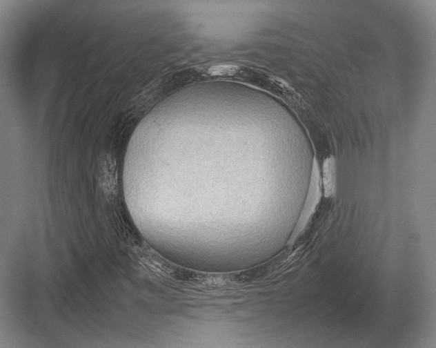 X0000082701443200702161737