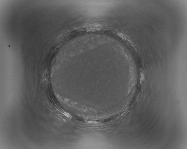 X0000082701445200702161737