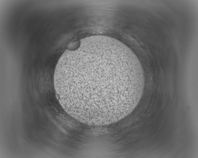 X0000082701446200702161737