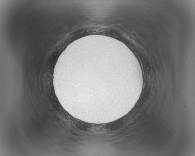 X0000082701447200702161737