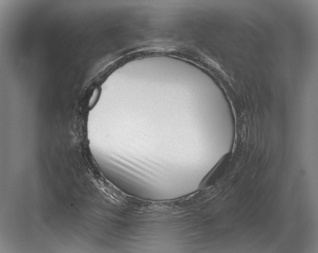 X0000082701448200702161737