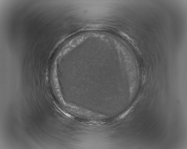 X0000082701449200702161737