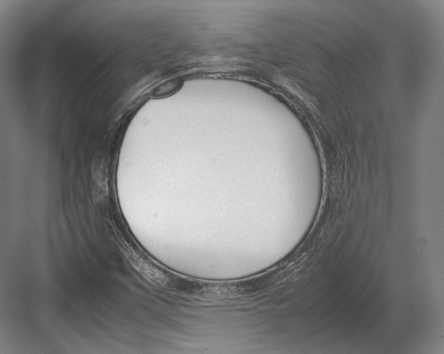 X0000082701451200702161737