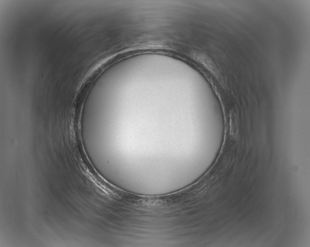 X0000082701452200702161737