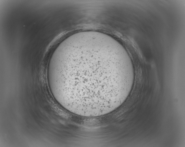 X0000082701454200702161737