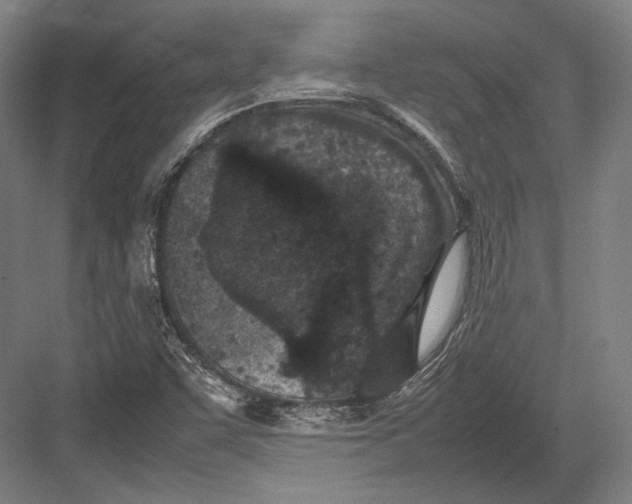 X0000082701455200702161737