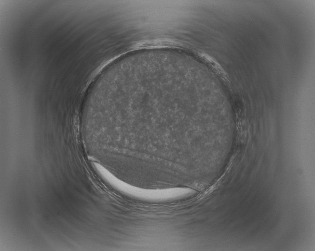 X0000082701457200702161737