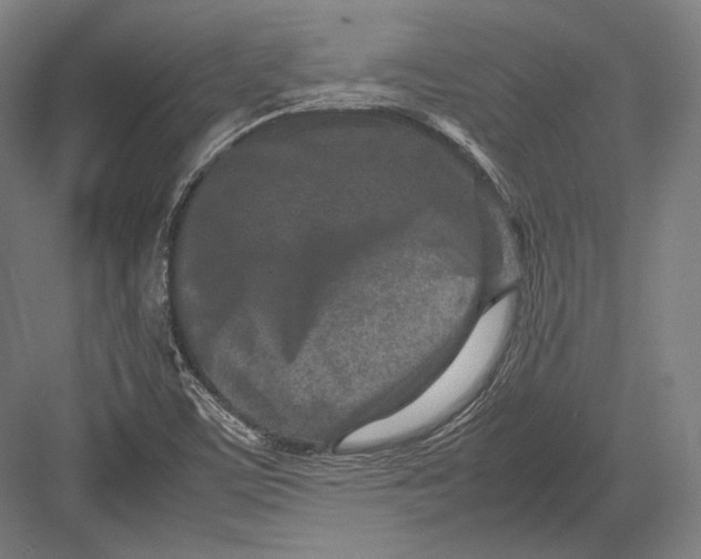 X0000082701459200702161737