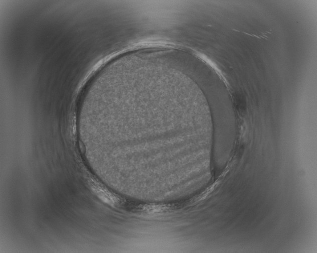 X0000082701461200702161737