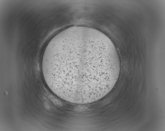 X0000082701462200702161737