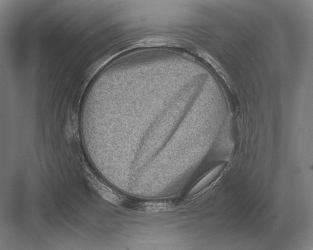 X0000082701465200702161737