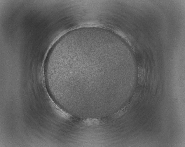 X0000082701466200702161737