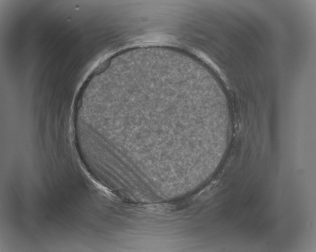 X0000082701469200702161737