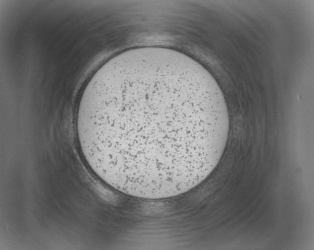 X0000082701470200702161737