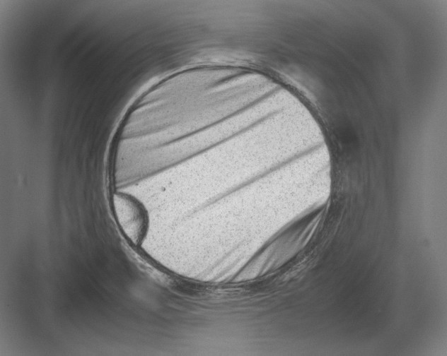 X0000082701471200702161737