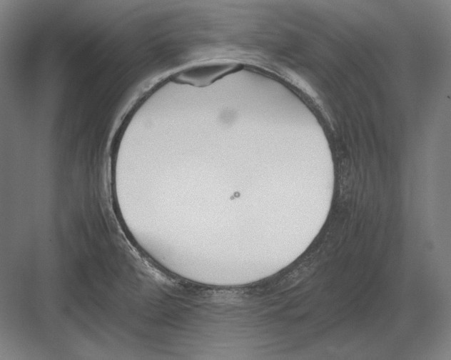 X0000082701472200702161737