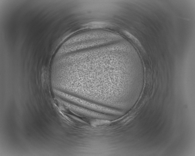 X0000082701473200702161737