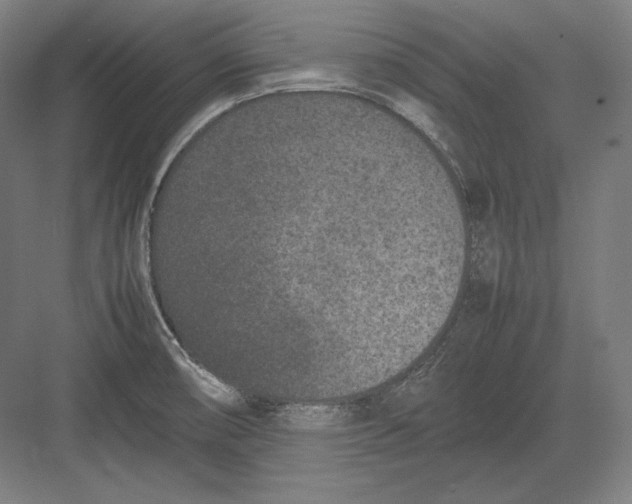 X0000082701474200702161737