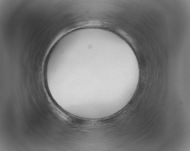 X0000082701475200702161737