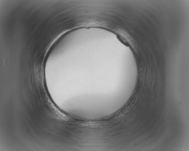 X0000082701476200702161737