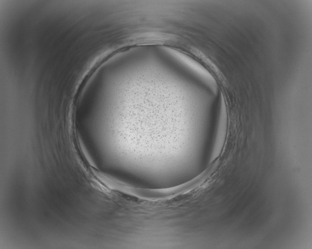 X0000082701477200702161737