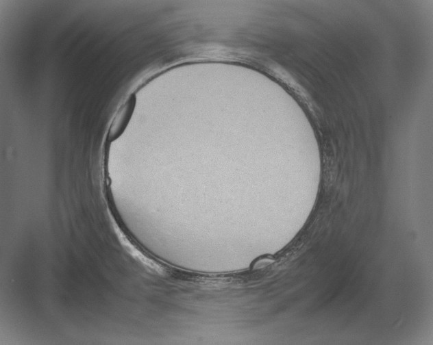 X0000082701479200702161737