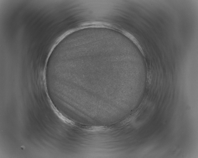 X0000082701482200702161737