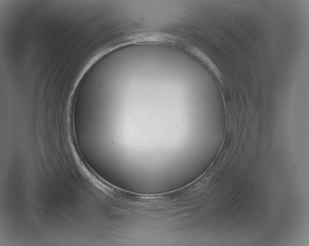 X0000082701483200702161737