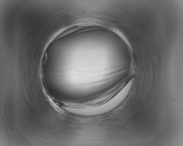 X0000082701485200702161737