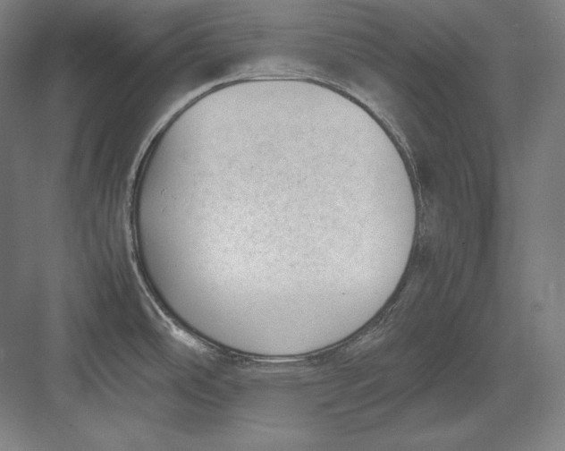 X0000082701486200702161737