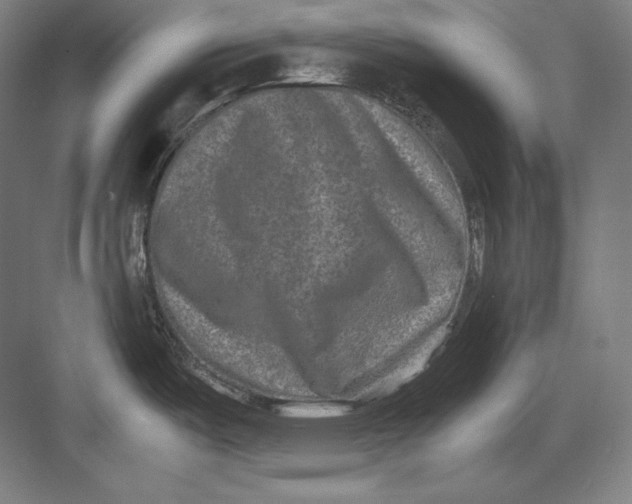 X0000082701487200702161737